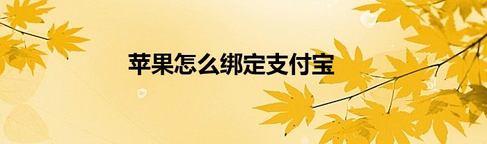 苹果怎么绑定支付宝