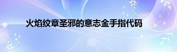 火焰纹章圣邪的意志金手指代码