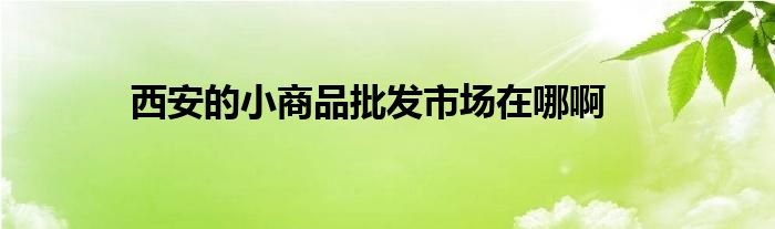 西安的小商品批发市场在哪啊