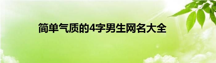 简单气质的4字男生网名大全