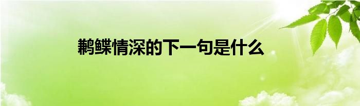 鹣鲽情深的下一句是什么