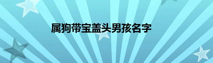 属狗带宝盖头男孩名字