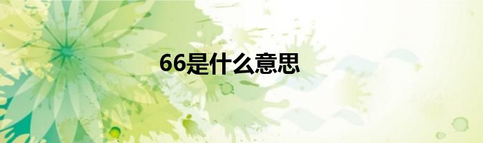 66是什么意思