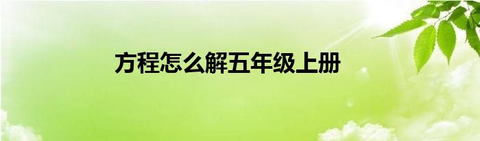 方程怎么解五年级上册