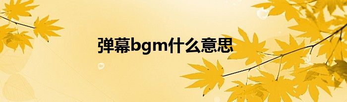 弹幕bgm什么意思