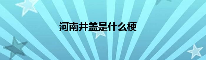 河南井盖是什么梗