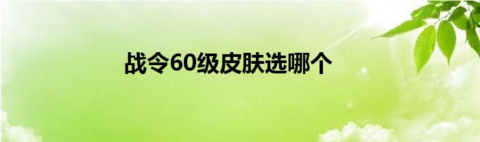 战令60级皮肤选哪个