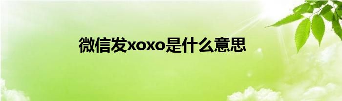 微信发xoxo是什么意思