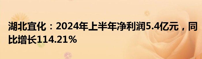 湖北宜化：2024年上半年净利润5.4亿元，同比增长114.21%