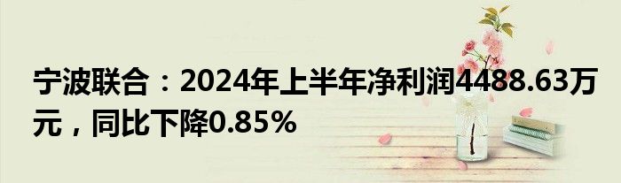 宁波联合：2024年上半年净利润4488.63万元，同比下降0.85%