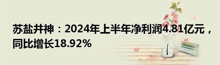 苏盐井神：2024年上半年净利润4.81亿元，同比增长18.92%