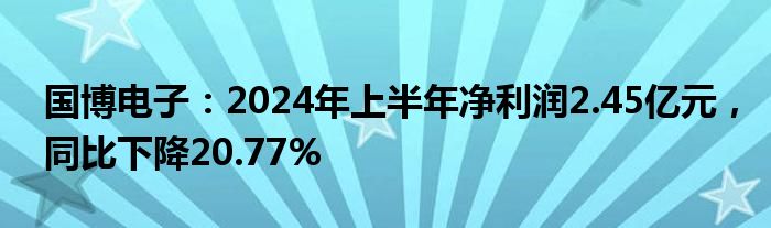 国博电子：2024年上半年净利润2.45亿元，同比下降20.77%