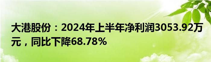 大港股份：2024年上半年净利润3053.92万元，同比下降68.78%