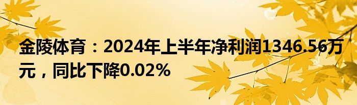 金陵体育：2024年上半年净利润1346.56万元，同比下降0.02%