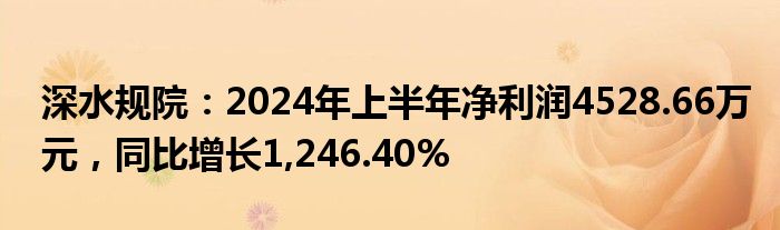 深水规院：2024年上半年净利润4528.66万元，同比增长1,246.40%