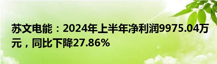 苏文电能：2024年上半年净利润9975.04万元，同比下降27.86%