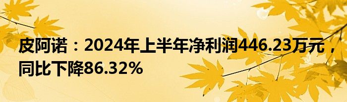 皮阿诺：2024年上半年净利润446.23万元，同比下降86.32%