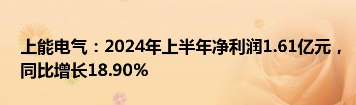 上能电气：2024年上半年净利润1.61亿元，同比增长18.90%