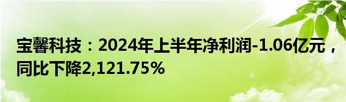 宝馨科技：2024年上半年净利润-1.06亿元，同比下降2,121.75%