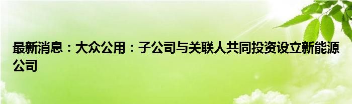 最新消息：大众公用：子公司与关联人共同投资设立新能源公司