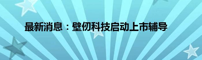 最新消息：壁仞科技启动上市辅导