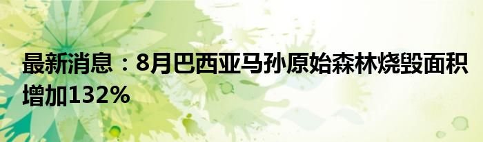 最新消息：8月巴西亚马孙原始森林烧毁面积增加132%