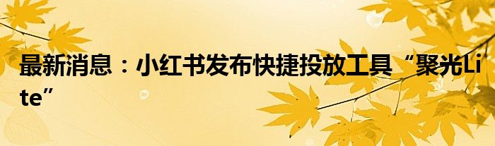 最新消息：小红书发布快捷投放工具“聚光Lite”