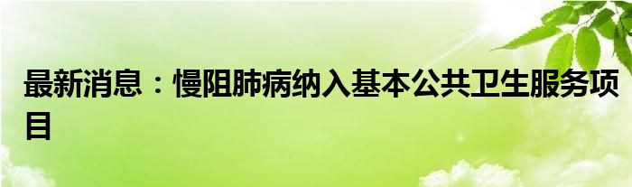 最新消息：慢阻肺病纳入基本公共卫生服务项目