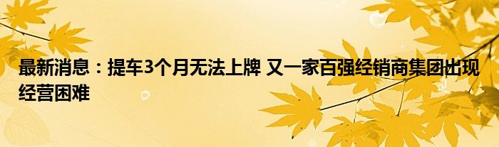 最新消息：提车3个月无法上牌 又一家百强经销商集团出现经营困难