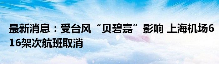 最新消息：受台风“贝碧嘉”影响 上海机场616架次航班取消