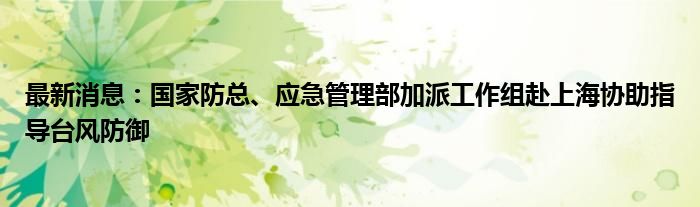 最新消息：国家防总、应急管理部加派工作组赴上海协助指导台风防御