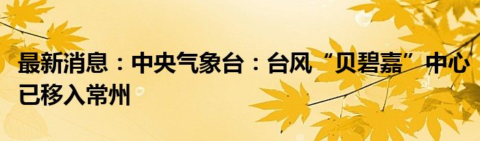 最新消息：中央气象台：台风“贝碧嘉”中心已移入常州