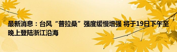 最新消息：台风“普拉桑”强度缓慢增强 将于19日下午至晚上登陆浙江沿海