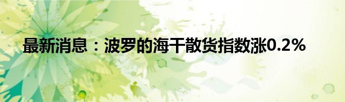 最新消息：波罗的海干散货指数涨0.2%