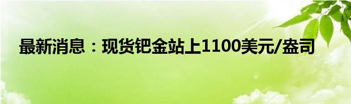 最新消息：现货钯金站上1100美元/盎司