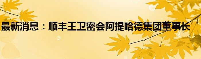 最新消息：顺丰王卫密会阿提哈德集团董事长