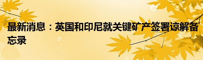 最新消息：英国和印尼就关键矿产签署谅解备忘录