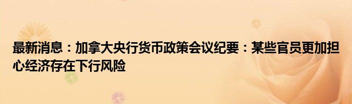 最新消息：加拿大央行货币政策会议纪要：某些官员更加担心经济存在下行风险