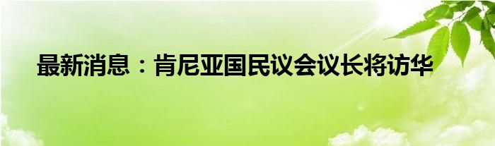 最新消息：肯尼亚国民议会议长将访华