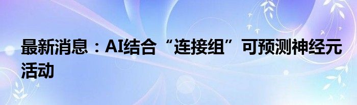 最新消息：AI结合“连接组”可预测神经元活动