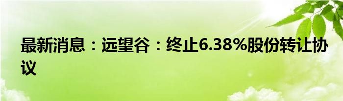 最新消息：远望谷：终止6.38%股份转让协议