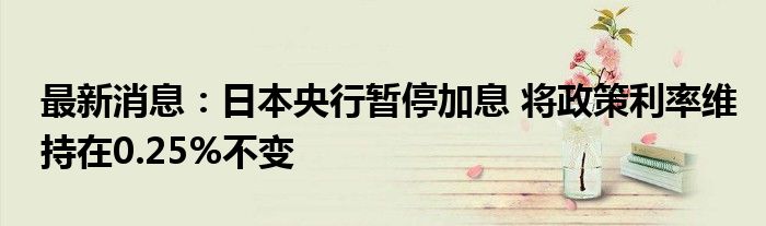 最新消息：日本央行暂停加息 将政策利率维持在0.25%不变