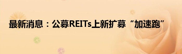 最新消息：公募REITs上新扩募“加速跑”