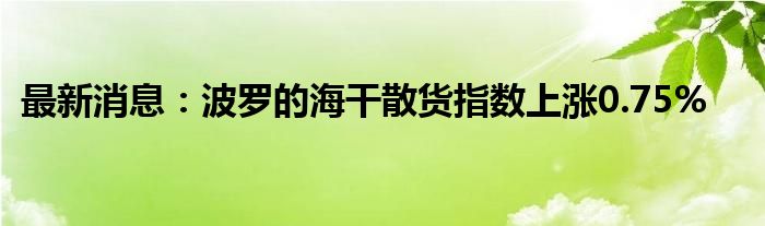 最新消息：波罗的海干散货指数上涨0.75%