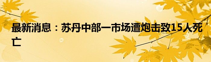 最新消息：苏丹中部一市场遭炮击致15人死亡