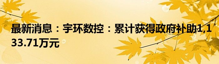 最新消息：宇环数控：累计获得政府补助1,133.71万元