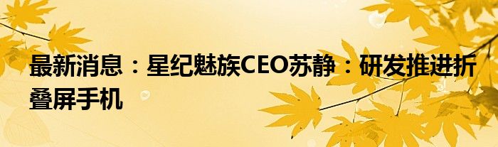 最新消息：星纪魅族CEO苏静：研发推进折叠屏手机