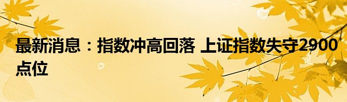 最新消息：指数冲高回落 上证指数失守2900点位