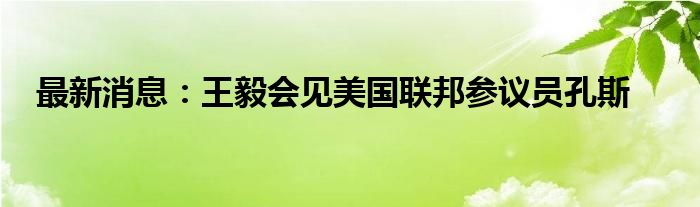 最新消息：王毅会见美国联邦参议员孔斯