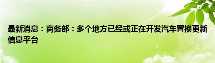 最新消息：商务部：多个地方已经或正在开发汽车置换更新信息平台